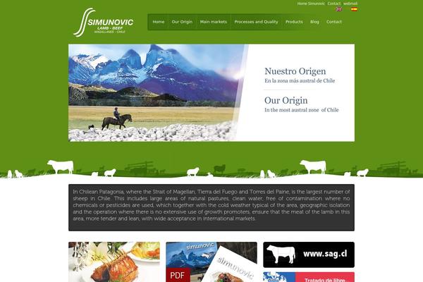simunovic.cl site used Beef
