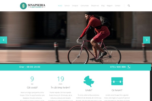 sinapseria.ro site used Salient