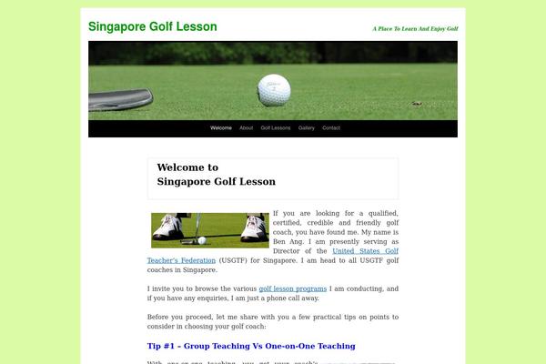 Twentytenchild theme site design template sample