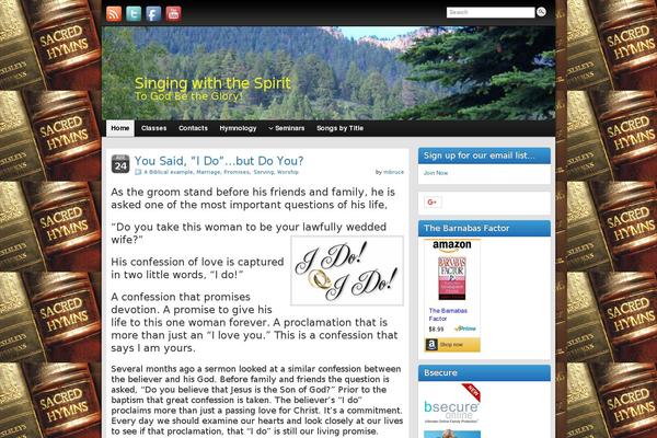 Site using WordPress Hit Counter plugin