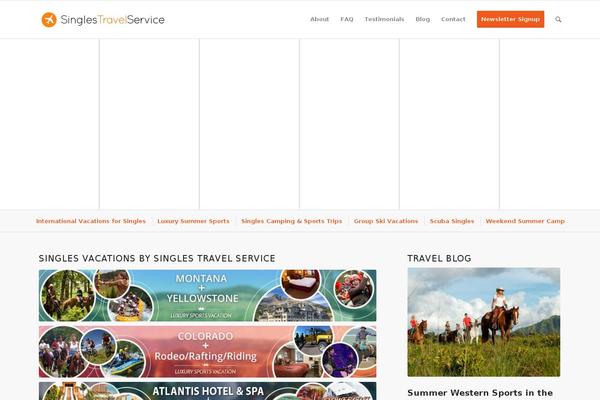 Sts theme site design template sample