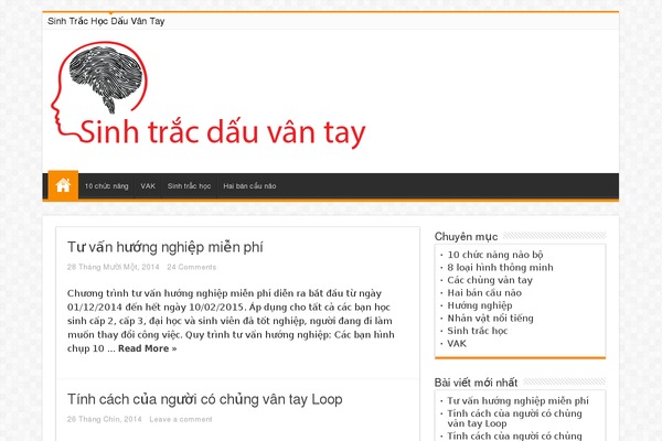 Sahifa theme site design template sample