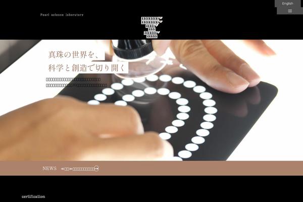 P2 theme site design template sample