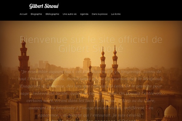 Sinoue theme websites examples