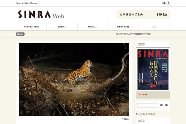 Gorgeous_tcd013 theme site design template sample