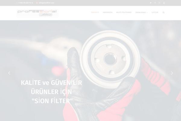 Redbiz theme site design template sample