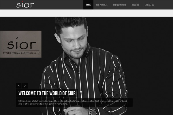 Lensa theme site design template sample