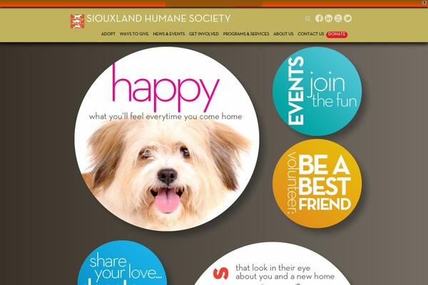 Rescue theme site design template sample