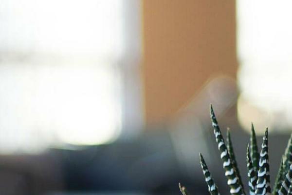 Twenty Seventeen theme site design template sample