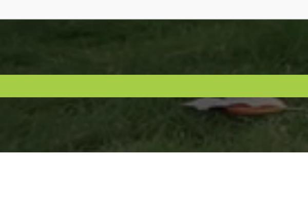 sireenergy.com site used OceanWP