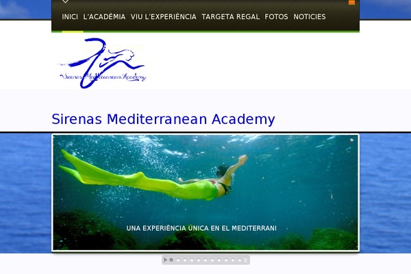 Bridge theme site design template sample