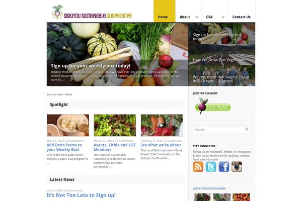 Delicious Magazine theme site design template sample