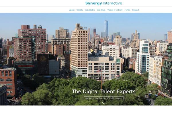 Synergy theme site design template sample