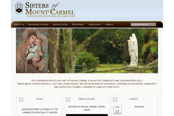 Site using iiRe Social Icons plugin