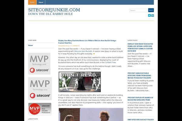 Site using SyntaxHighlighter Evolved plugin