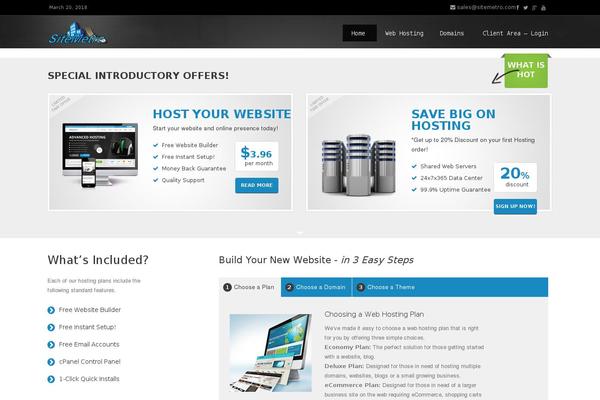 Ainex Host theme site design template sample