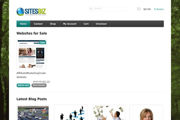 Function theme site design template sample