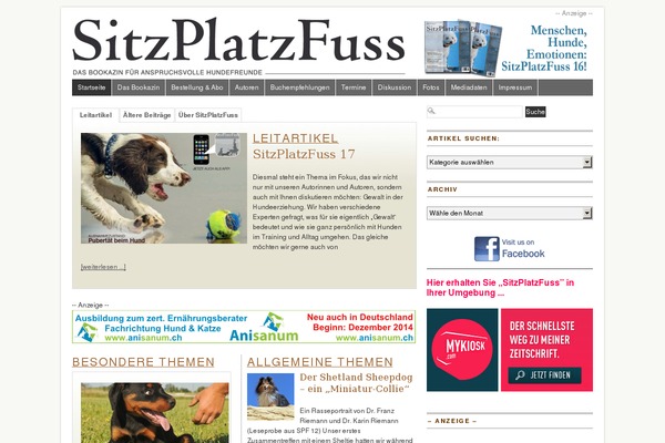Site using Real Accessability plugin