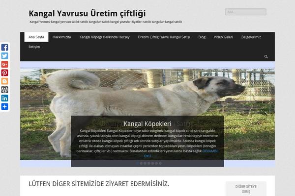 Catch Responsive theme site design template sample