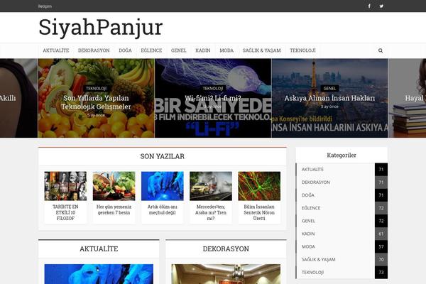 Voice theme site design template sample