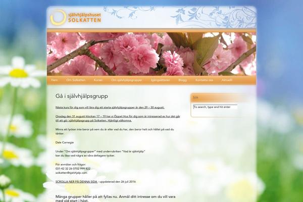 Mesmerize-pro theme site design template sample