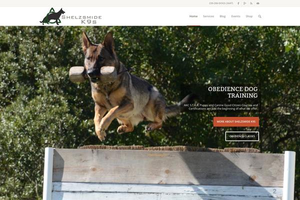 Enfold theme site design template sample