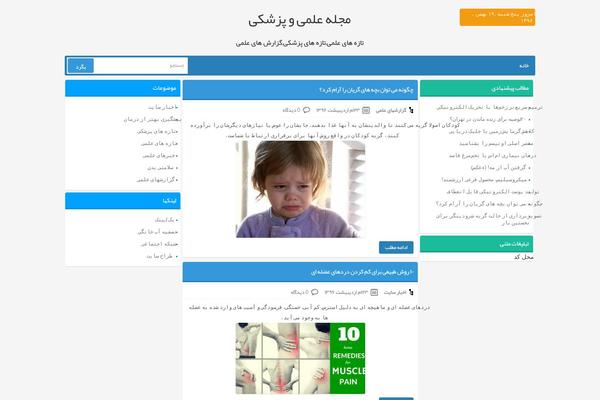 T98-sade theme site design template sample