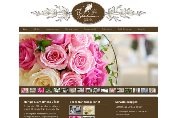 Twicet theme site design template sample