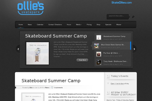 Polished theme site design template sample