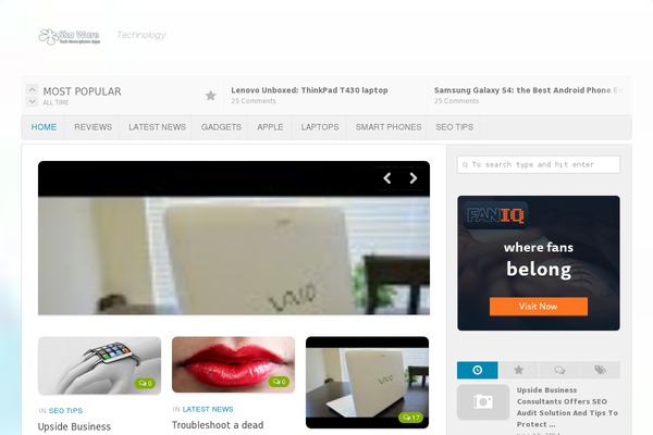 Site using Autoptimize plugin