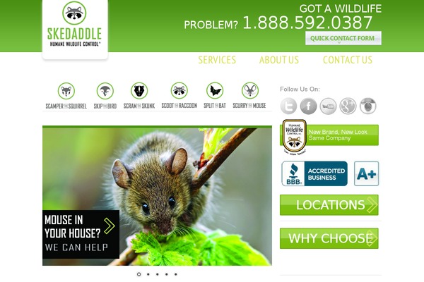 skedaddlewildlife.com site used Skedaddle