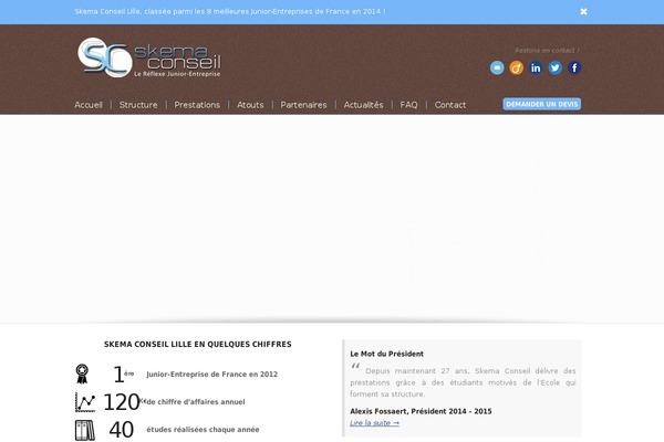 Choices theme site design template sample