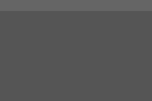 Site using Wolf-tour-dates plugin