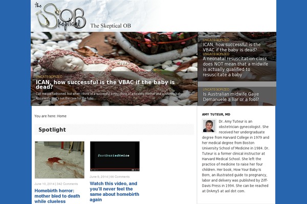 Site using Perfect Pullquotes plugin