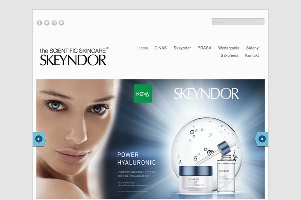 Monstroid2 theme site design template sample