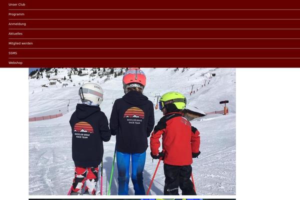 Site using Estatik plugin