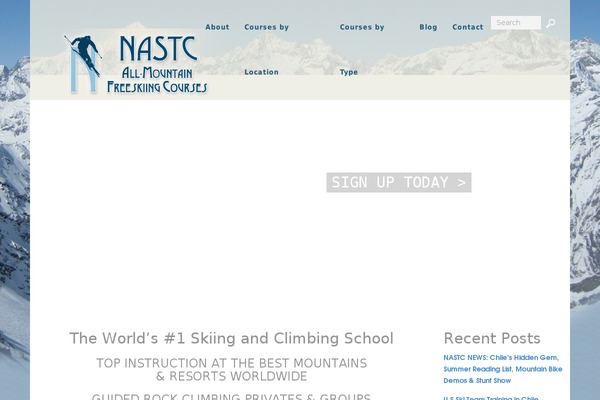 Central theme site design template sample