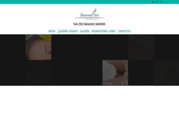 Alterna theme site design template sample