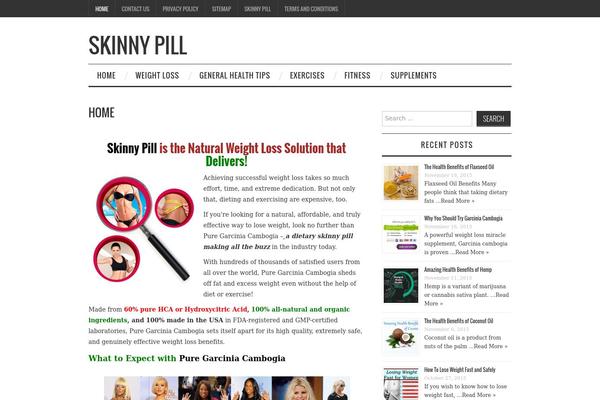 Fashionistas theme site design template sample