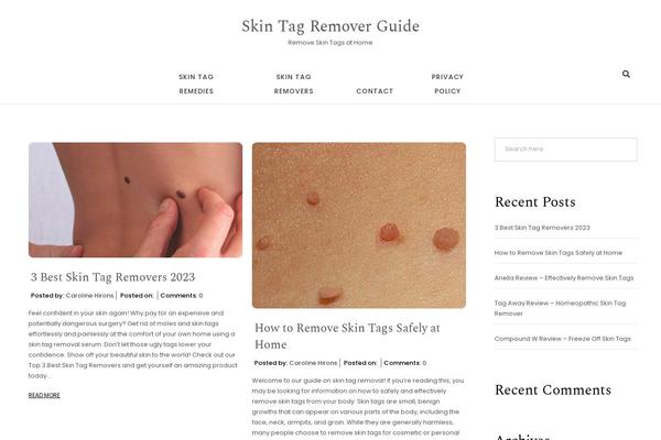 skintagremoverguide.com site used Blogson