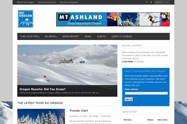 Magazon Wp theme site design template sample