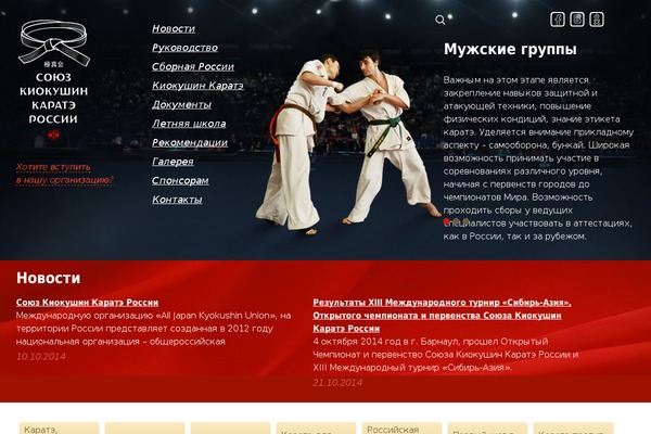 Site using Elementskit-lite plugin