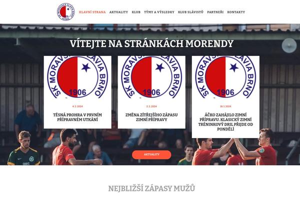 Playhockey theme site design template sample