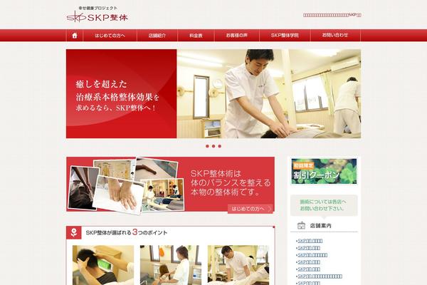 skp theme websites examples