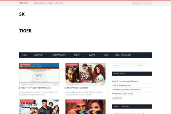 sktiger.com site used SmartMag