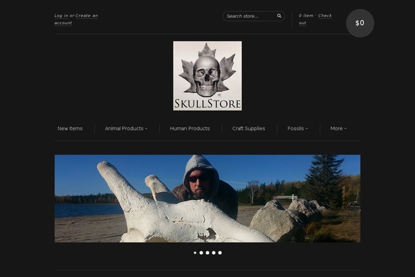 Flexxdark theme site design template sample
