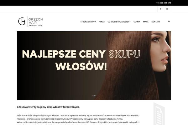 Tm-hairsalon theme site design template sample