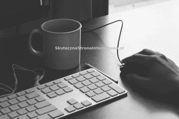 Site using Helion Widgets Pro plugin