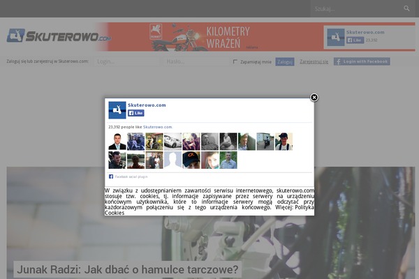 nts theme websites examples