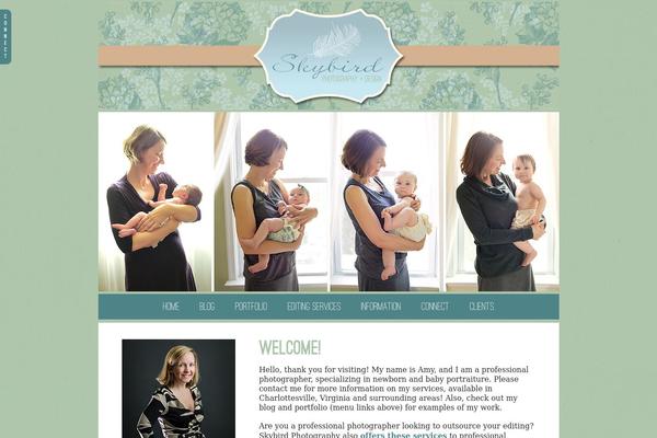 Prophoto4 theme site design template sample